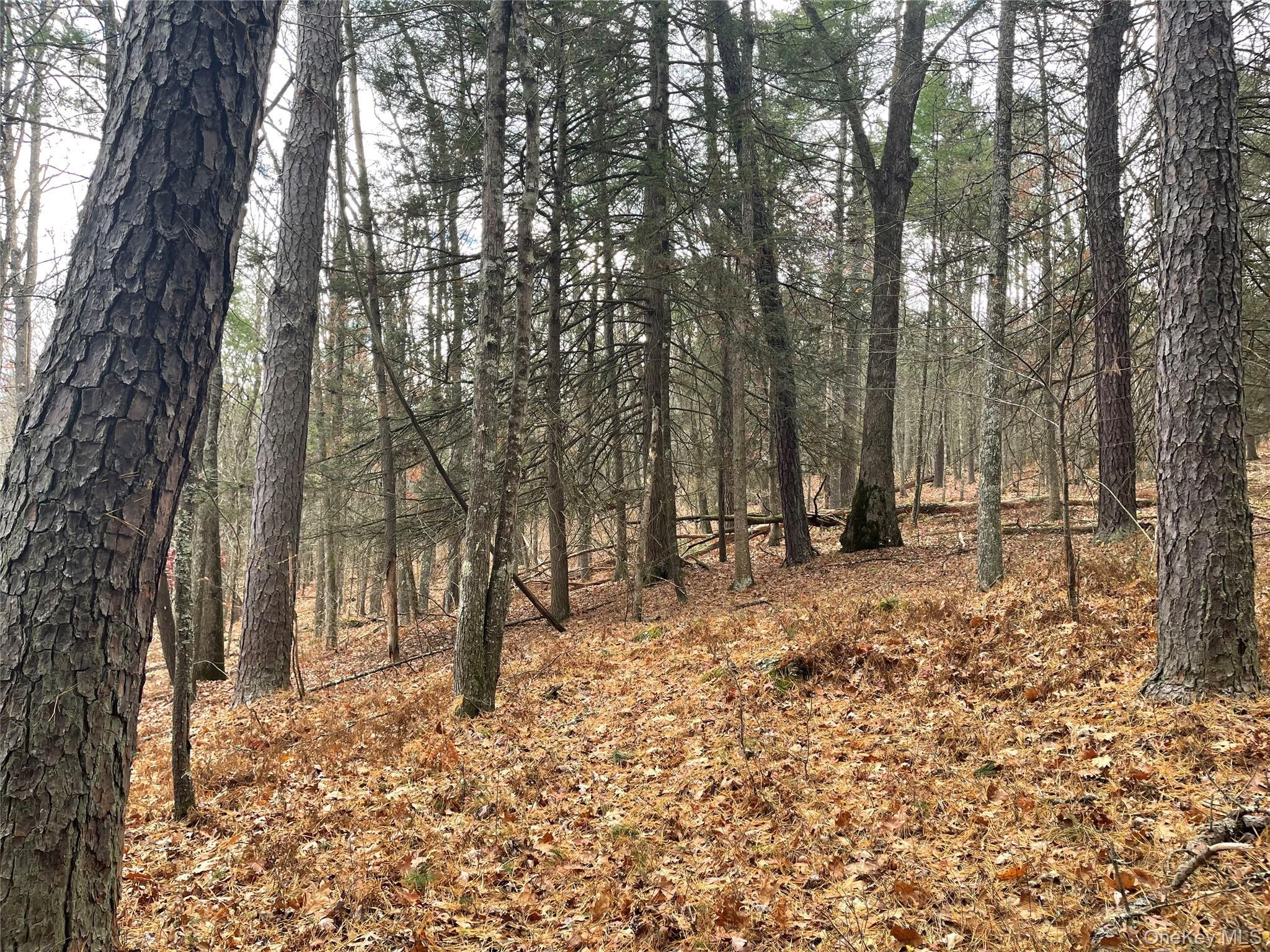 Single Family State Route 97 Sullivan County, NY 12764, MLS-934644-30