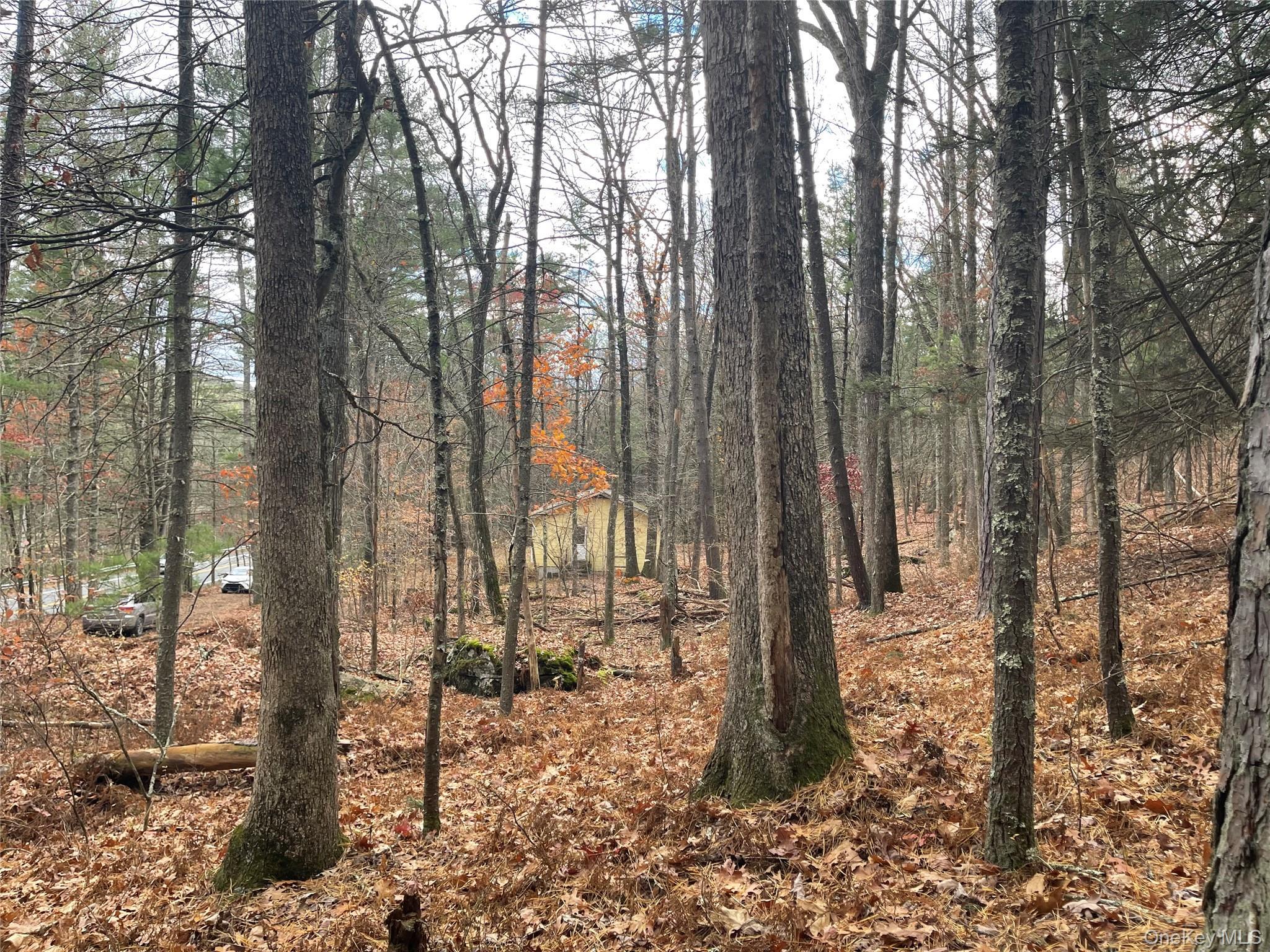 Single Family State Route 97 Sullivan County, NY 12764, MLS-934644-31