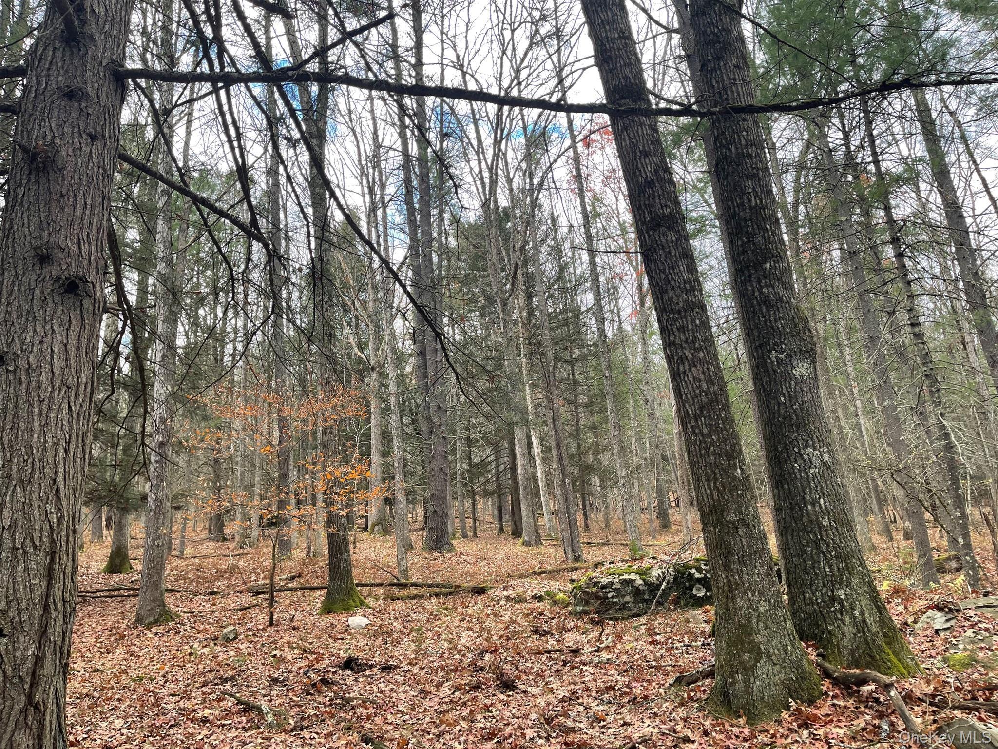 Single Family State Route 97 Sullivan County, NY 12764, MLS-934644-32