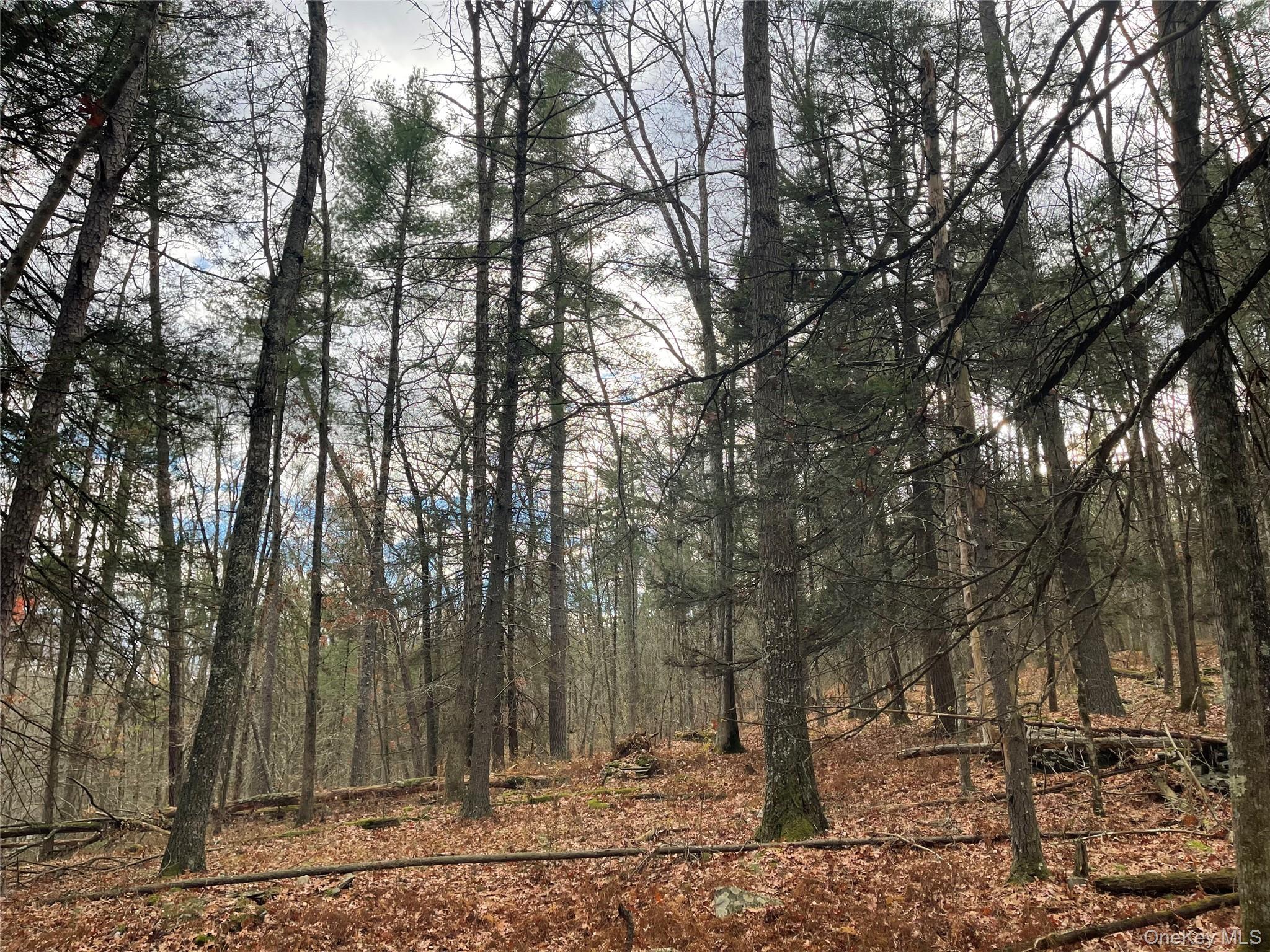 Single Family State Route 97 Sullivan County, NY 12764, MLS-934644-33