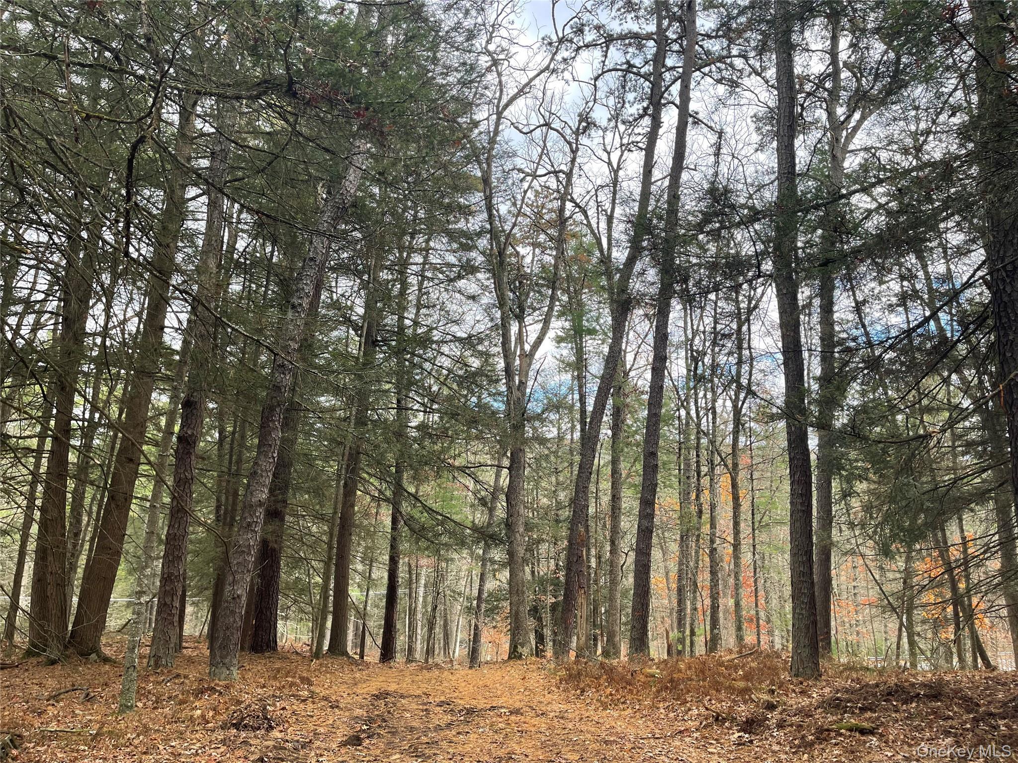 Single Family State Route 97 Sullivan County, NY 12764, MLS-934644-34