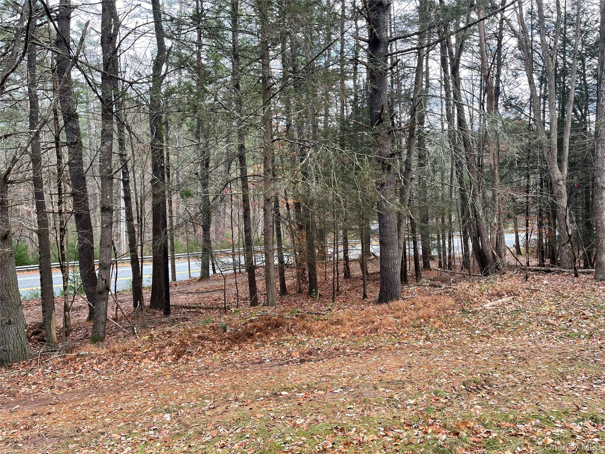 Single Family State Route 97 Sullivan County, NY 12764, MLS-934644-38