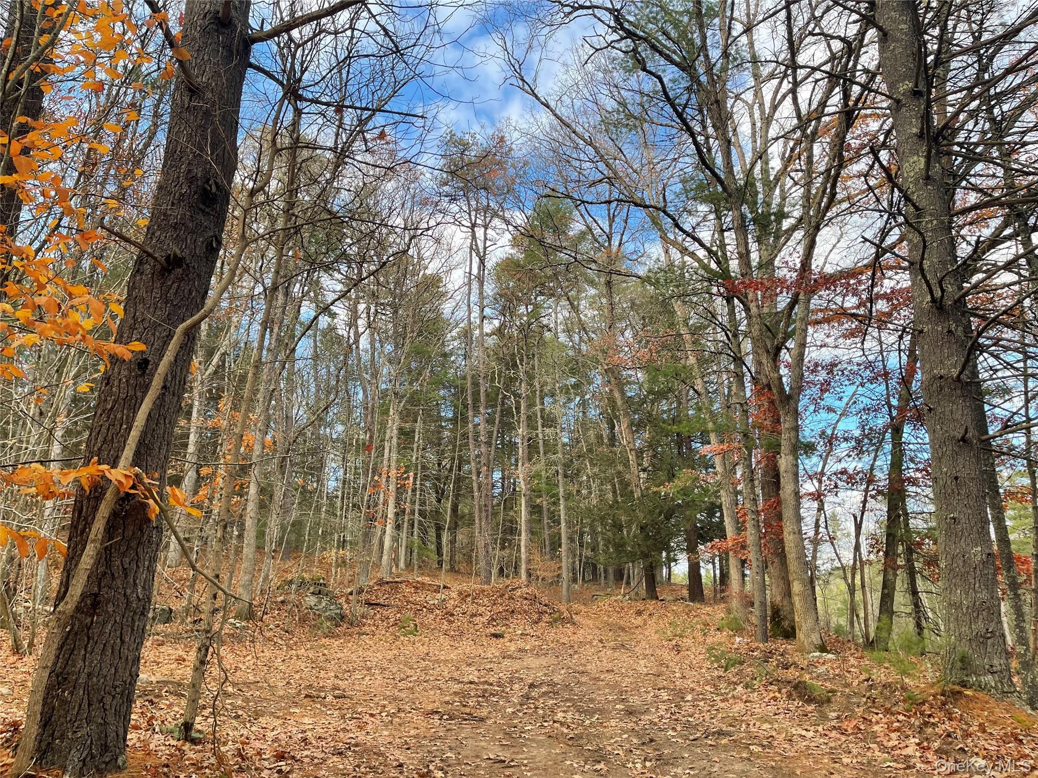 Single Family State Route 97 Sullivan County, NY 12764, MLS-934644-39