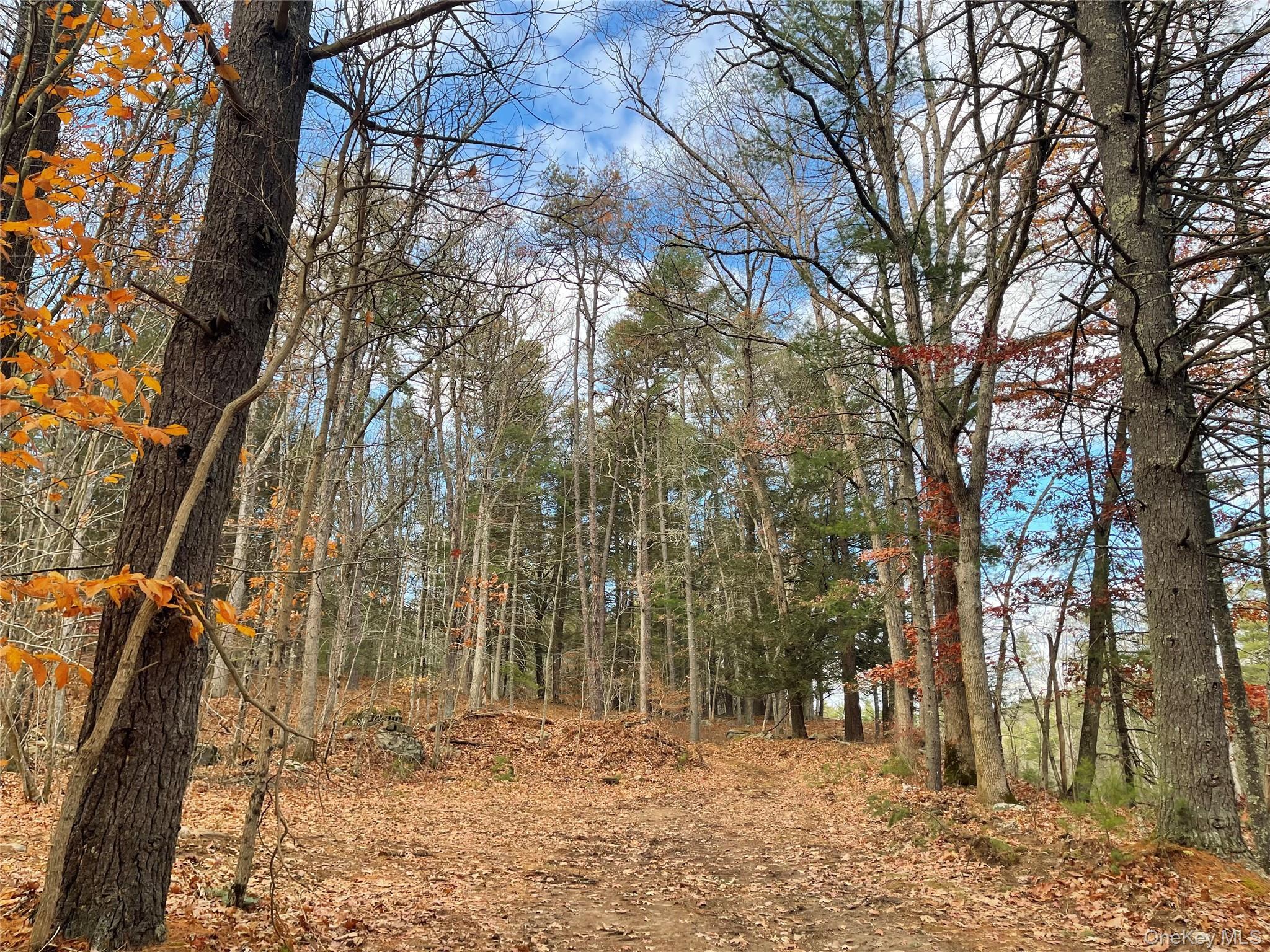 Single Family State Route 97 Sullivan County, NY 12764, MLS-934644-40