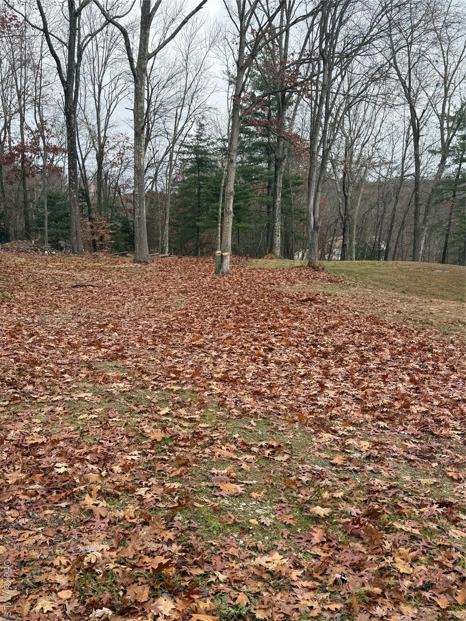 Single Family Square Woods  Dutchess County, NY 12540, MLS-934645-8