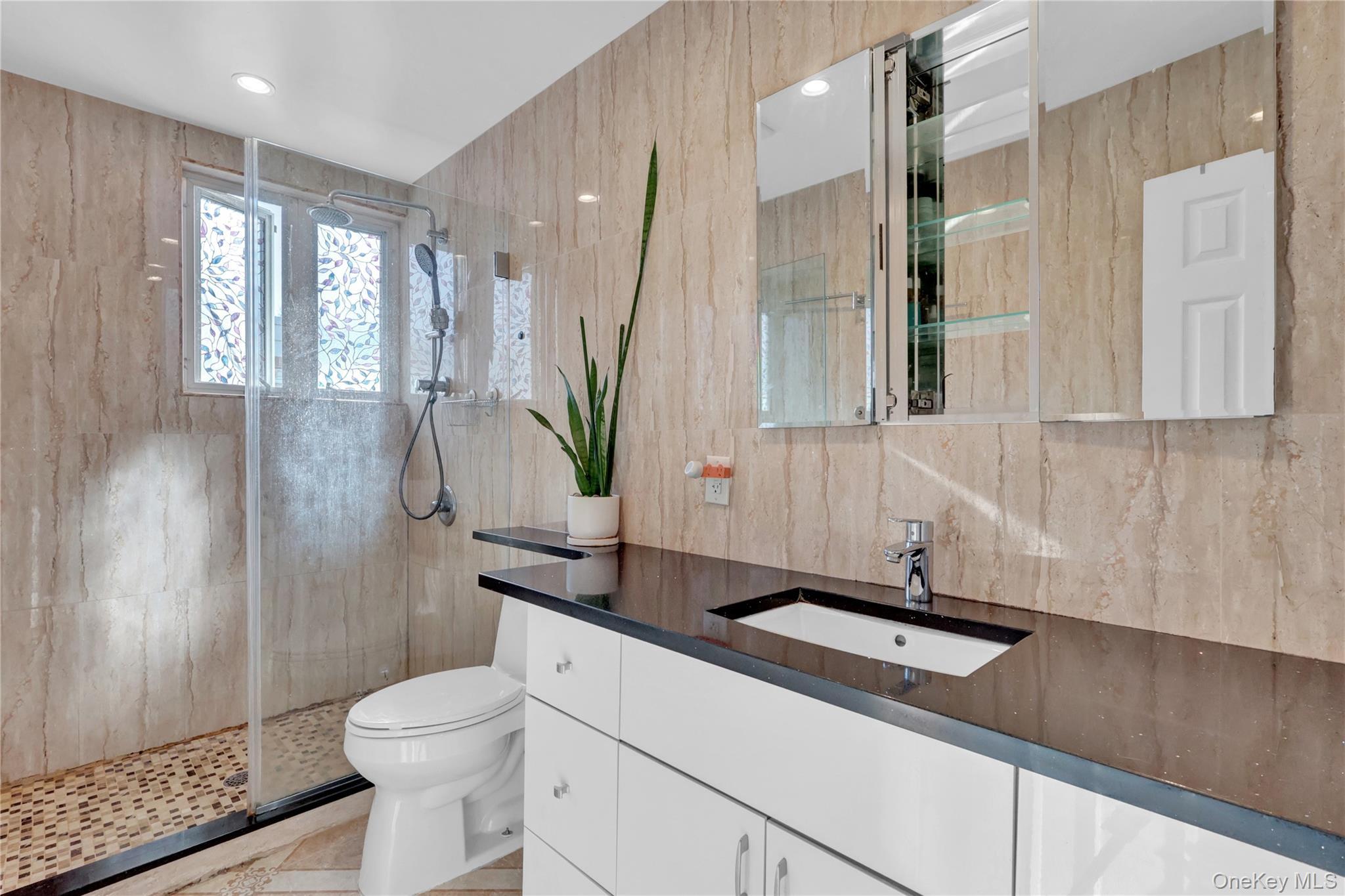 Single Family Commonwealth  Queens, NY 11426, MLS-934651-9