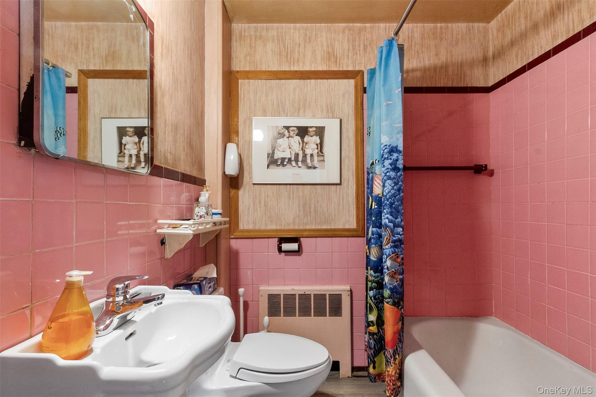 Single Family Elsa Westchester County, NY 10570, MLS-934755-13