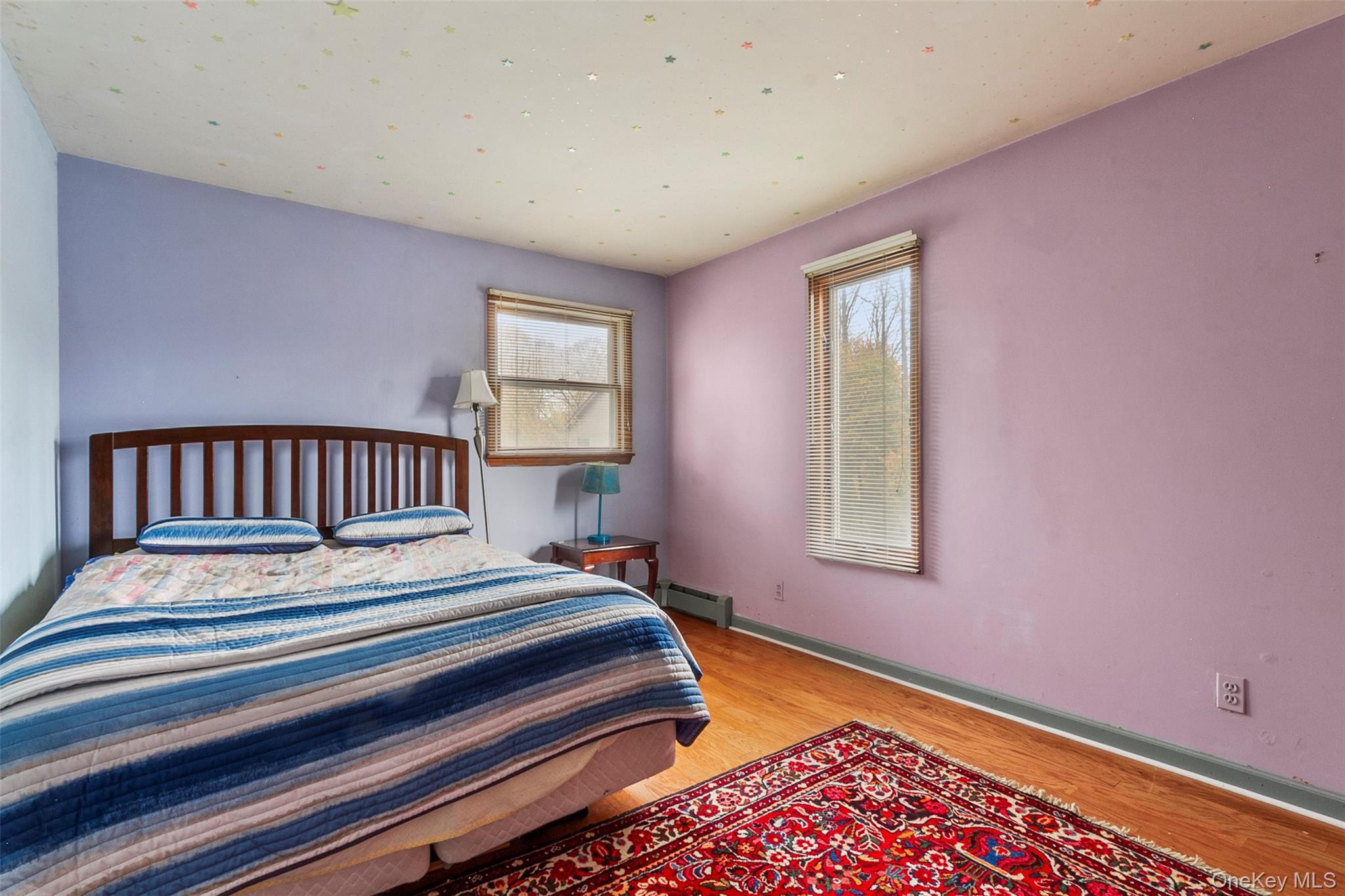 Single Family Elsa Westchester County, NY 10570, MLS-934755-17