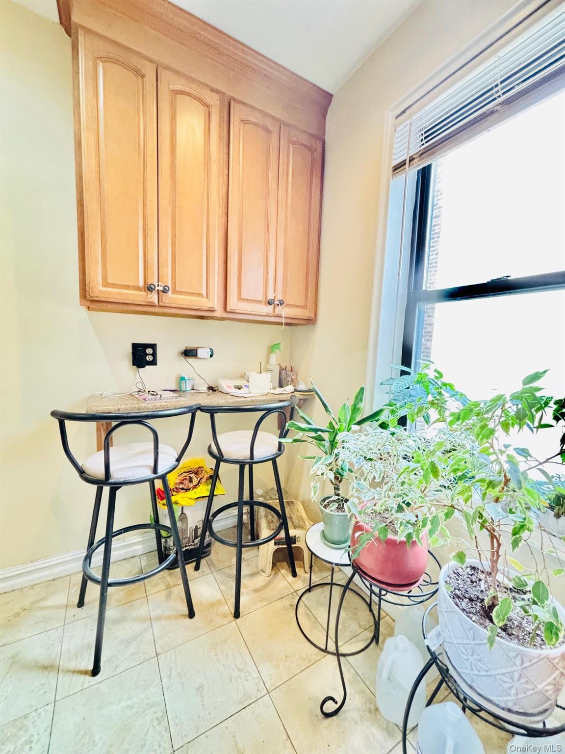 Coop Ocean  Brooklyn, NY 11230, MLS-934761-8