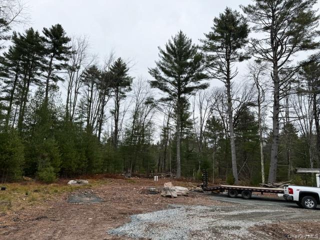 Single Family State Route 42  Sullivan County, NY 12777, MLS-934954-19