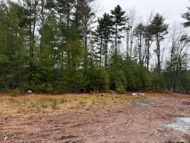 Single Family State Route 42  Sullivan County, NY 12777, MLS-934954-20