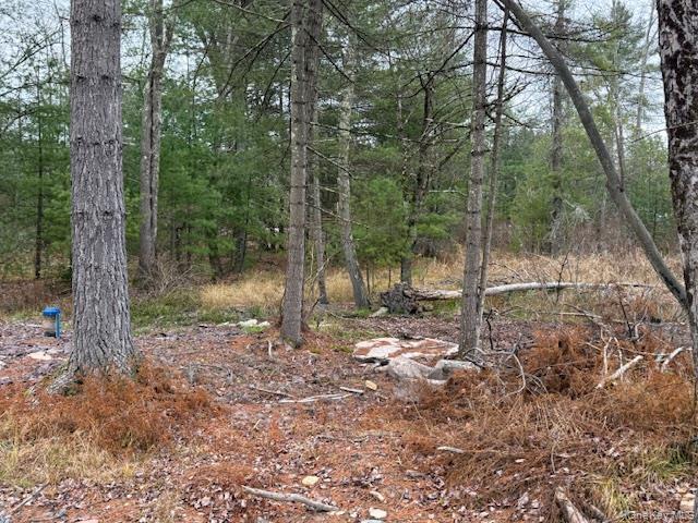 Single Family State Route 42  Sullivan County, NY 12777, MLS-934954-22