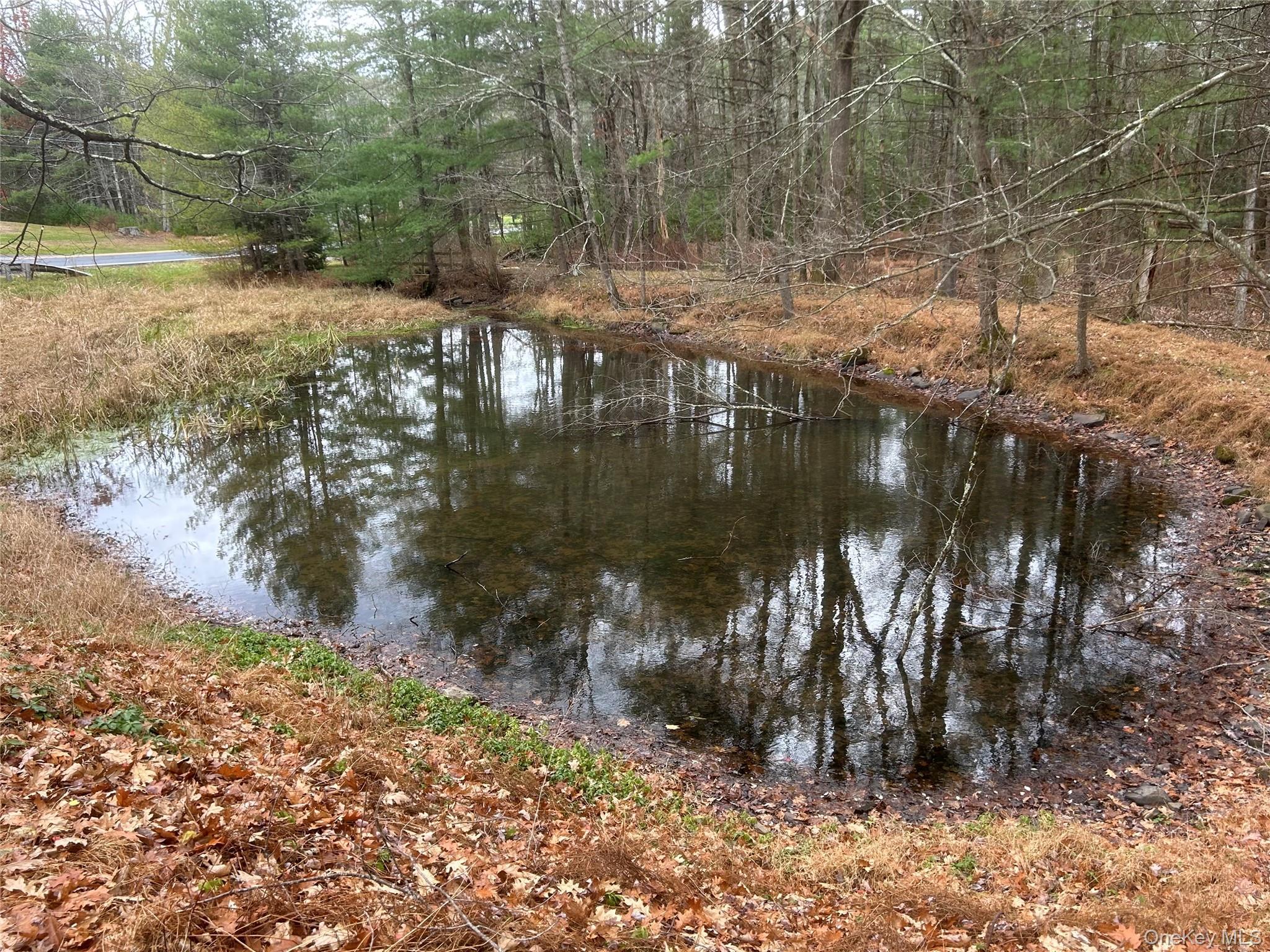 Single Family Eldred Yulan Sullivan County, NY 12732, MLS-934976-20