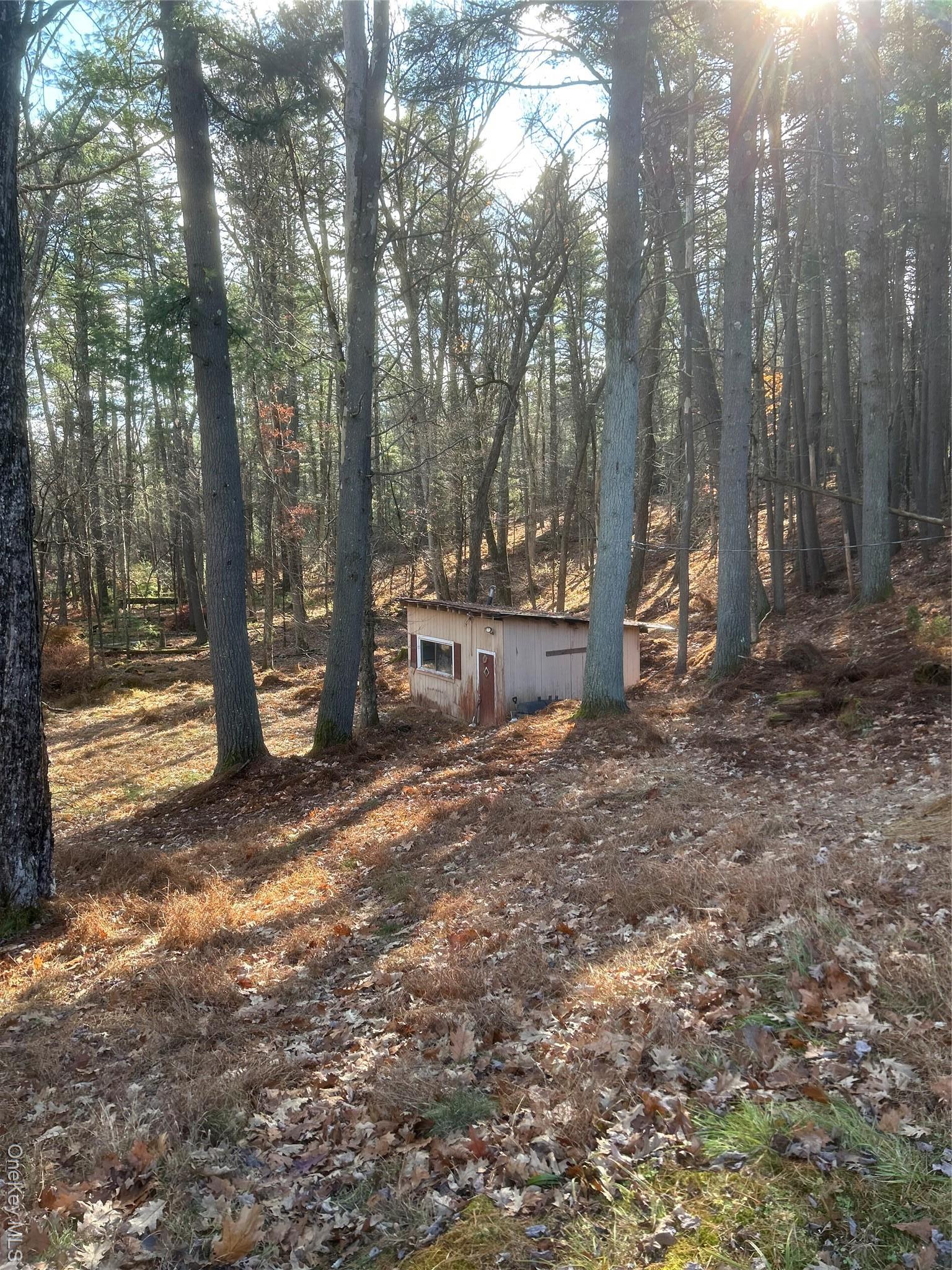 Single Family Eldred Yulan Sullivan County, NY 12732, MLS-934976-21