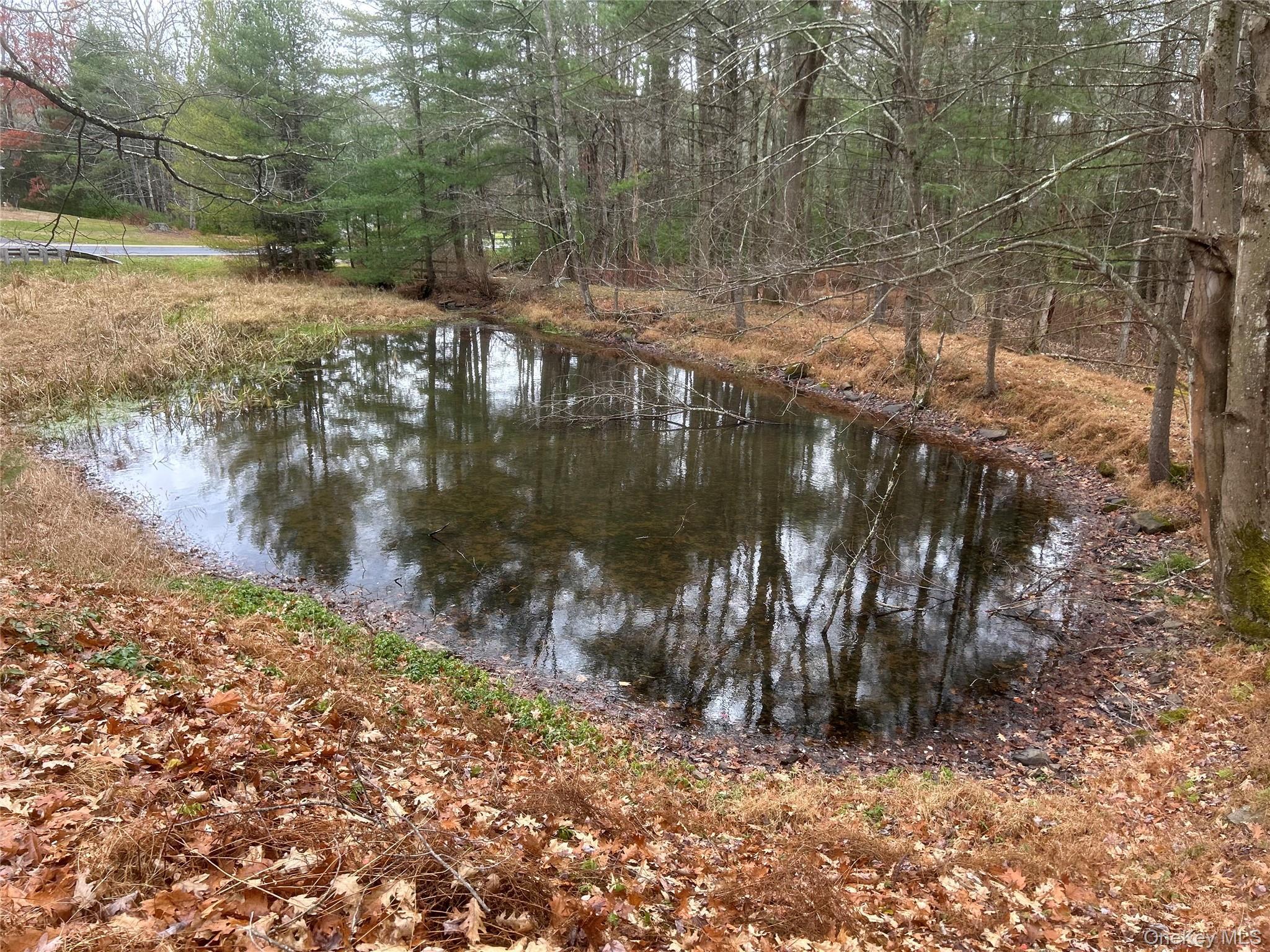 Single Family Eldred Yulan Sullivan County, NY 12732, MLS-934976-3