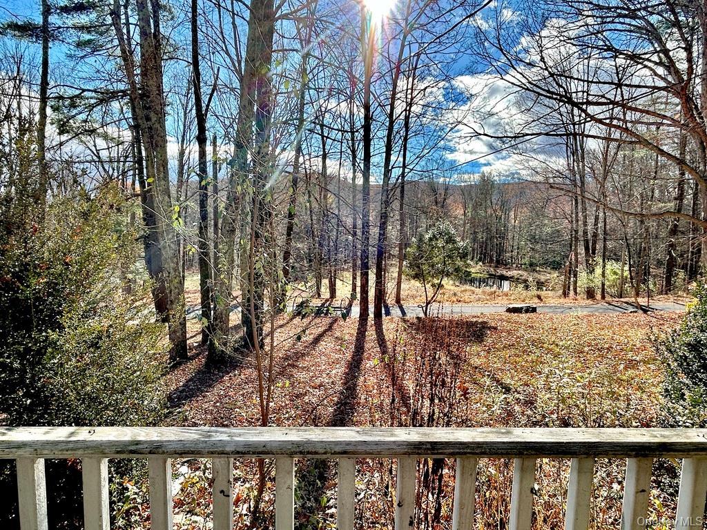 Single Family Tempaloni Rd Sullivan County, NY 12483, MLS-935094-16