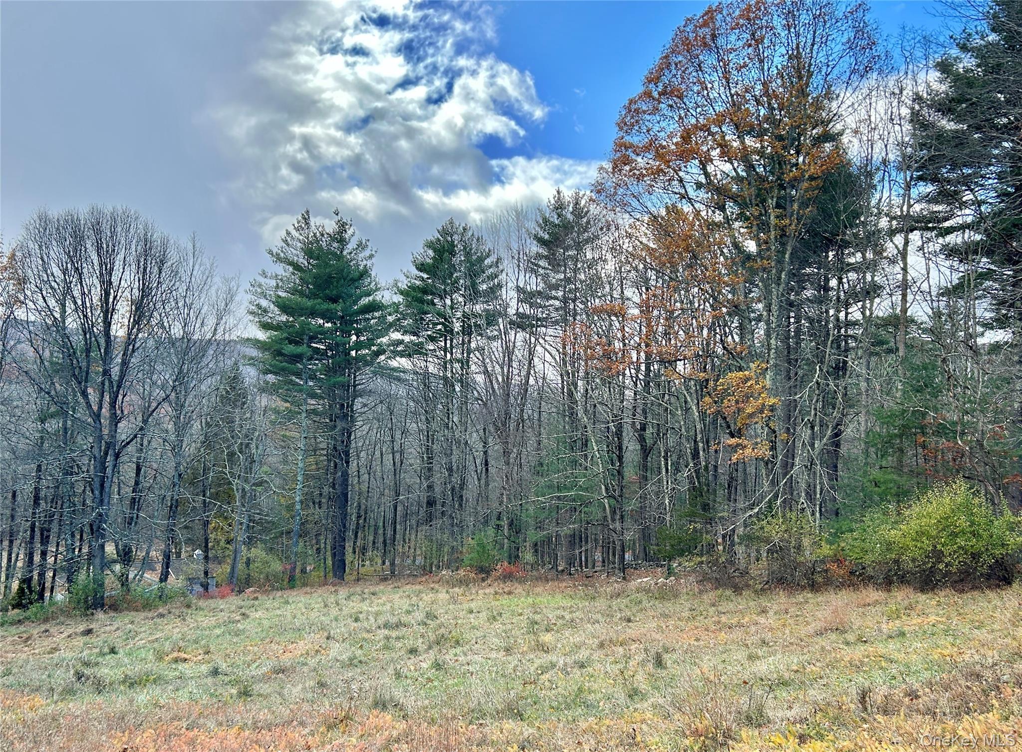 Single Family Tempaloni Rd Sullivan County, NY 12483, MLS-935094-18