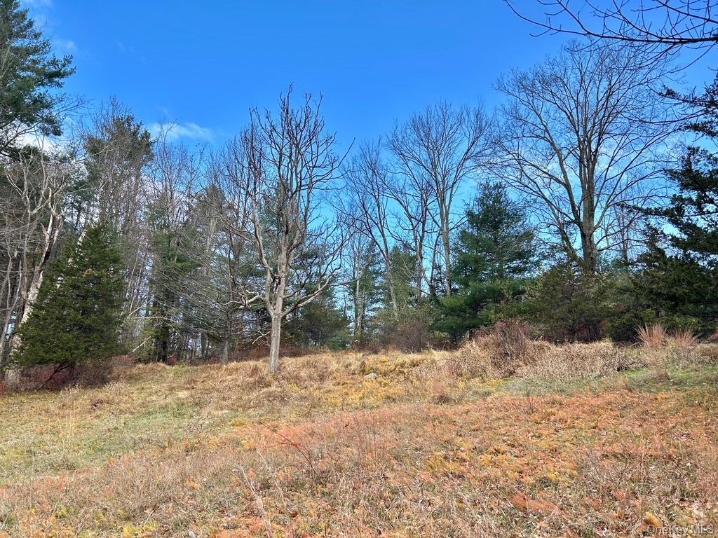 Single Family Tempaloni Rd Sullivan County, NY 12483, MLS-935094-19