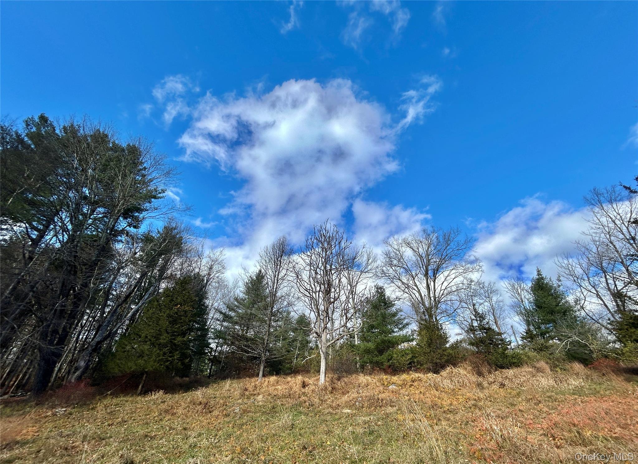 Single Family Tempaloni Rd Sullivan County, NY 12483, MLS-935094-20