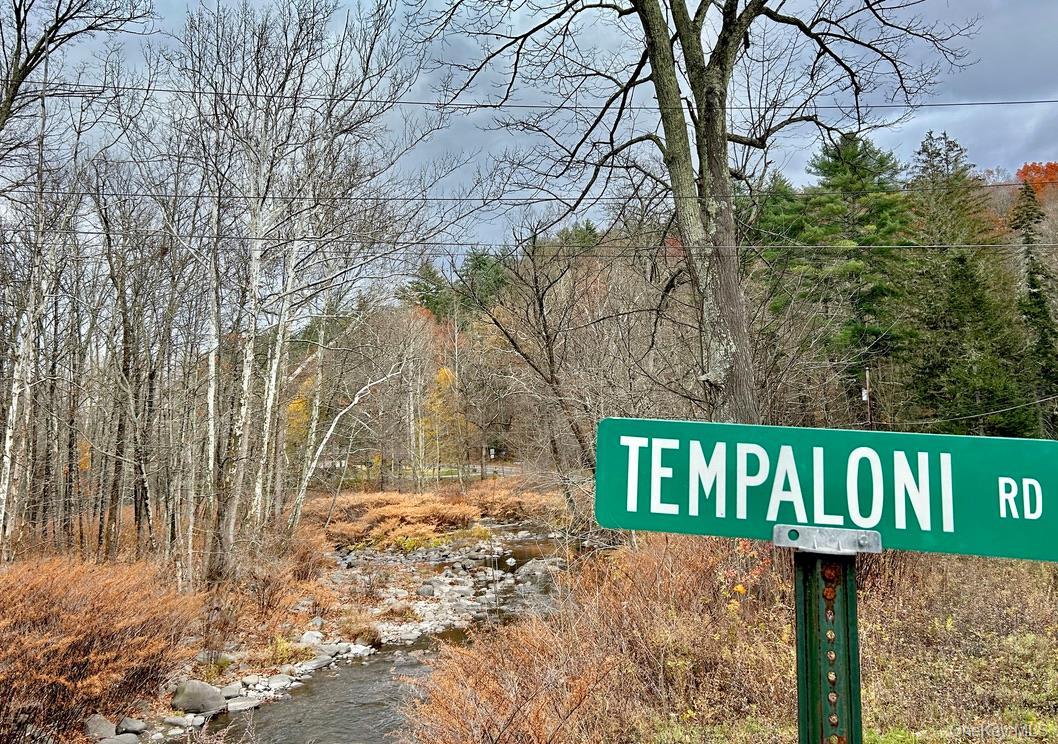 Single Family Tempaloni Rd Sullivan County, NY 12483, MLS-935094-23