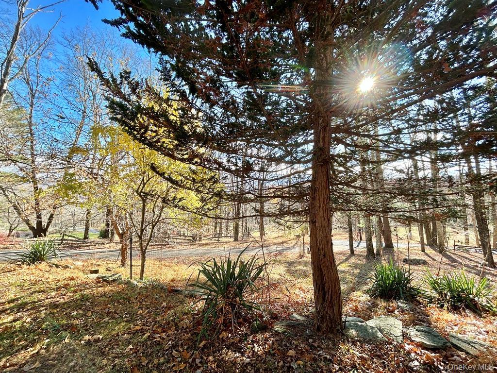 Single Family Tempaloni Rd Sullivan County, NY 12483, MLS-935094-4