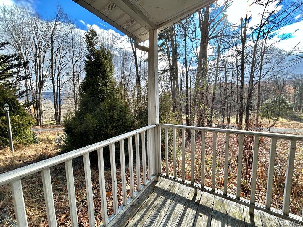 Single Family Tempaloni Rd Sullivan County, NY 12483, MLS-935094-5