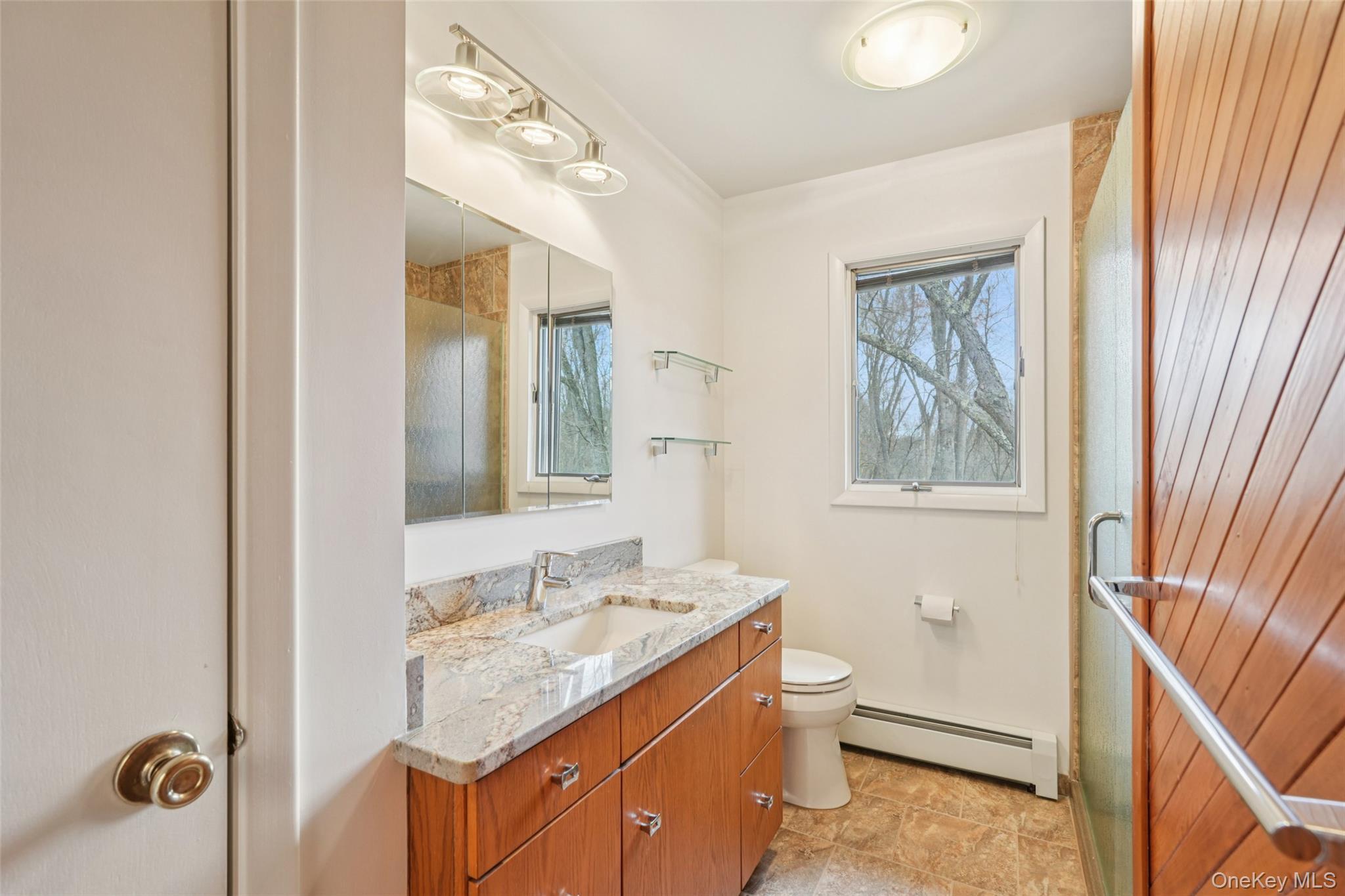 Single Family Old Minisink  Orange County, NY 10924, MLS-935118-20