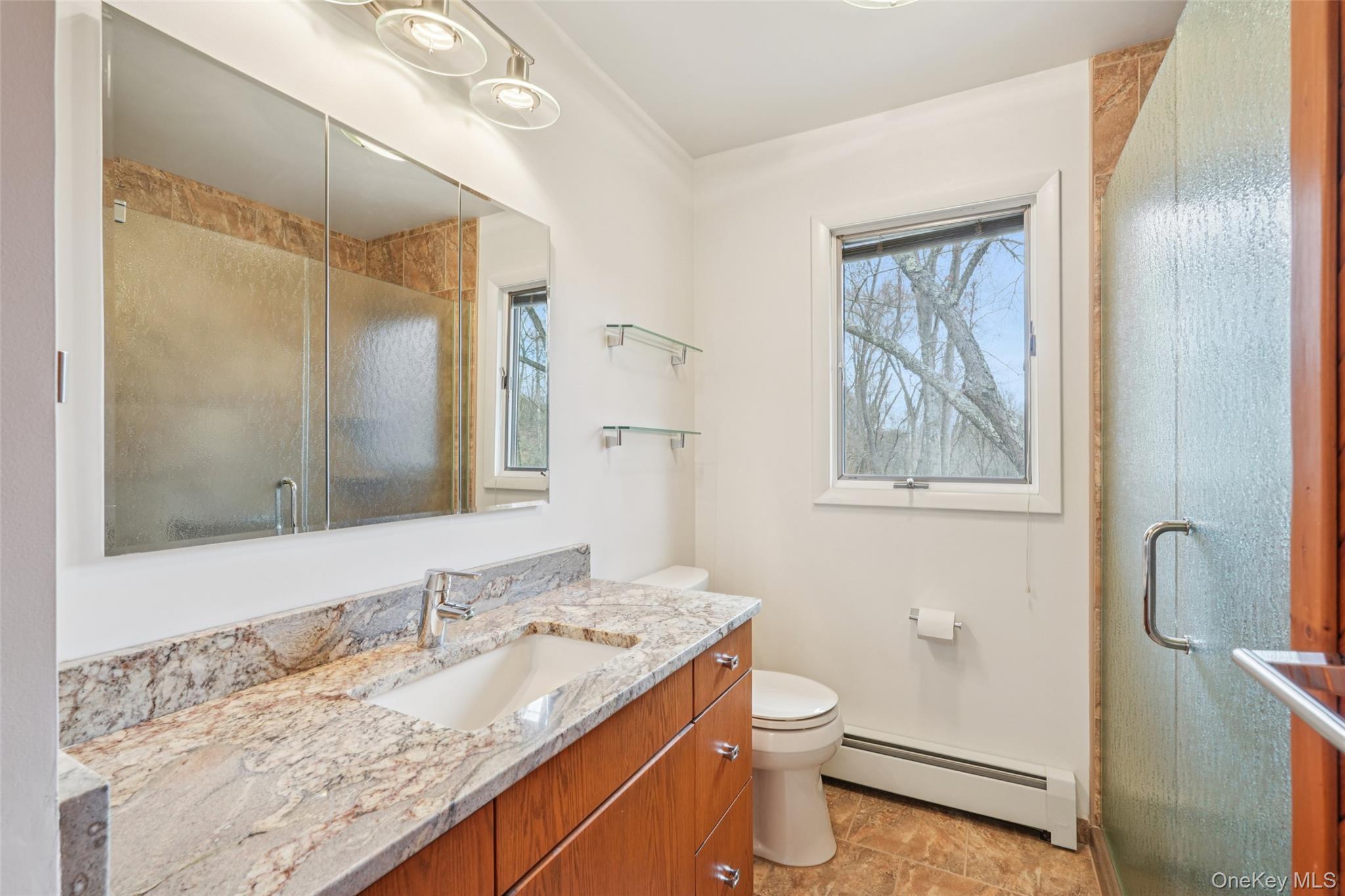 Single Family Old Minisink  Orange County, NY 10924, MLS-935118-21