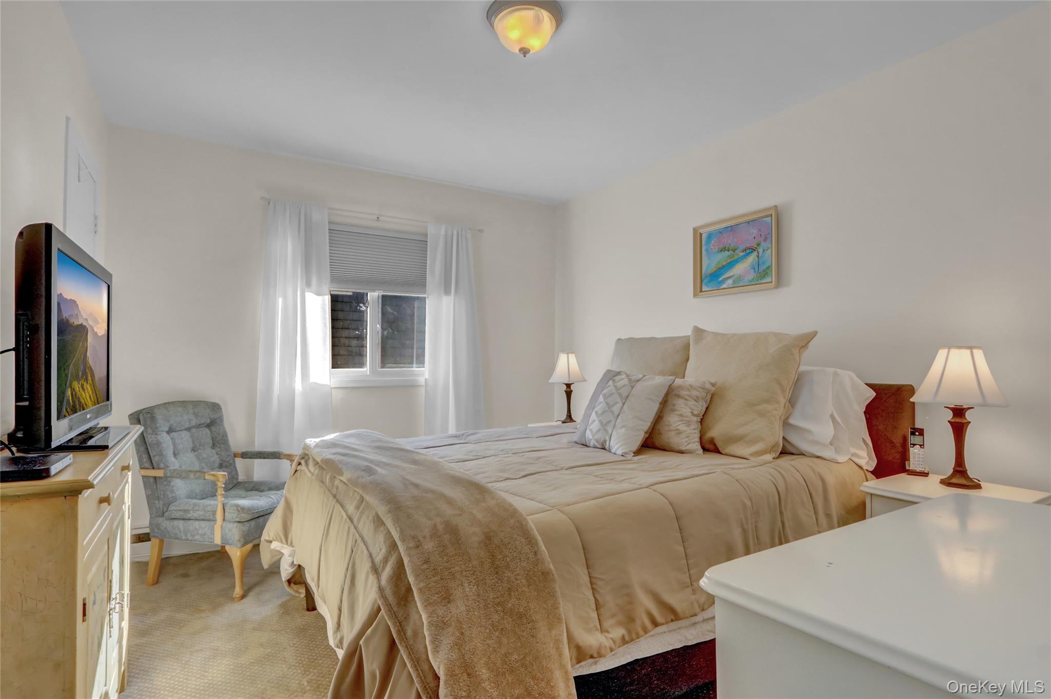 Single Family Clubhouse Nassau County, NY 11566, MLS-935185-21