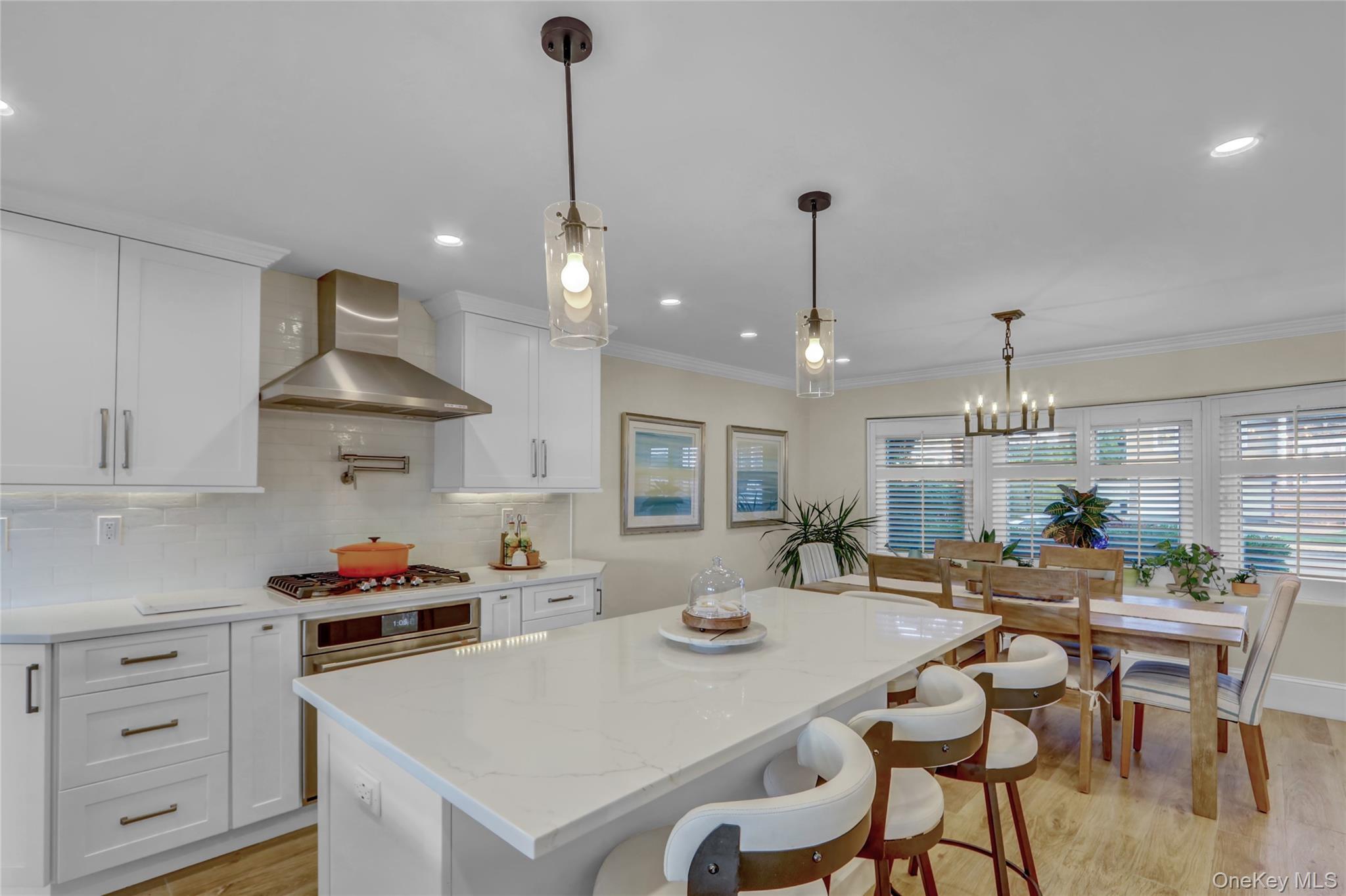 Single Family Clubhouse Nassau County, NY 11566, MLS-935185-8