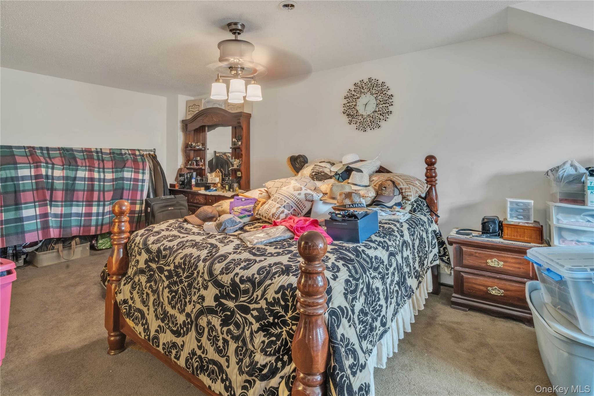 Single Family Macdougal  Brooklyn, NY 11233, MLS-935229-11