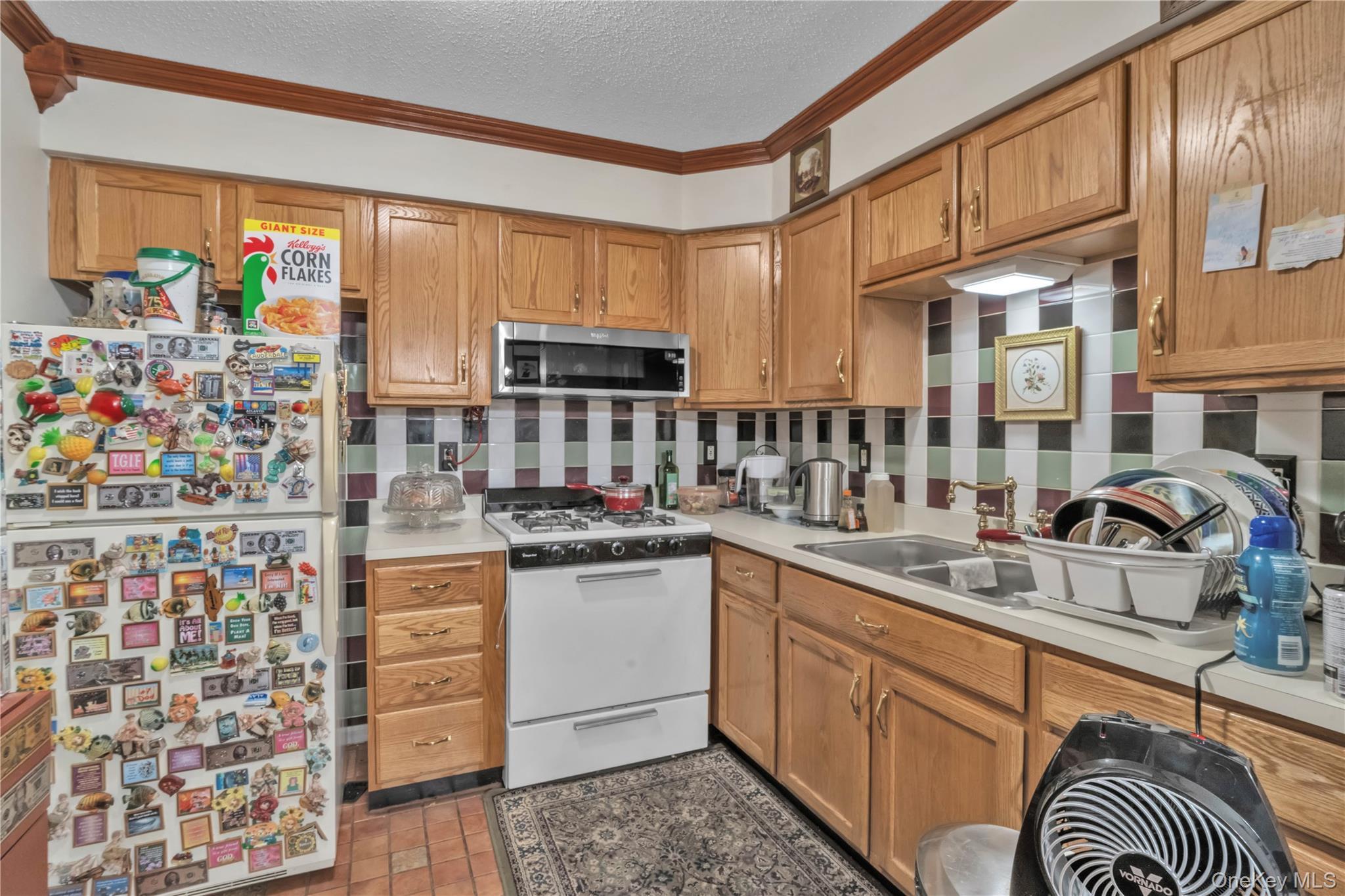 Single Family Macdougal  Brooklyn, NY 11233, MLS-935229-6