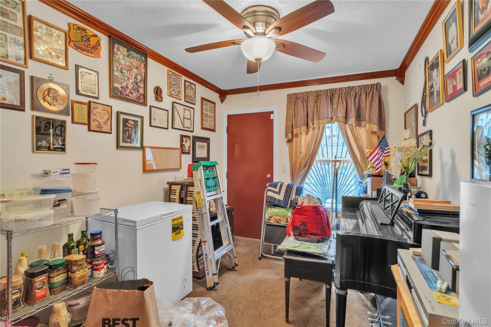 Single Family Macdougal  Brooklyn, NY 11233, MLS-935229-9