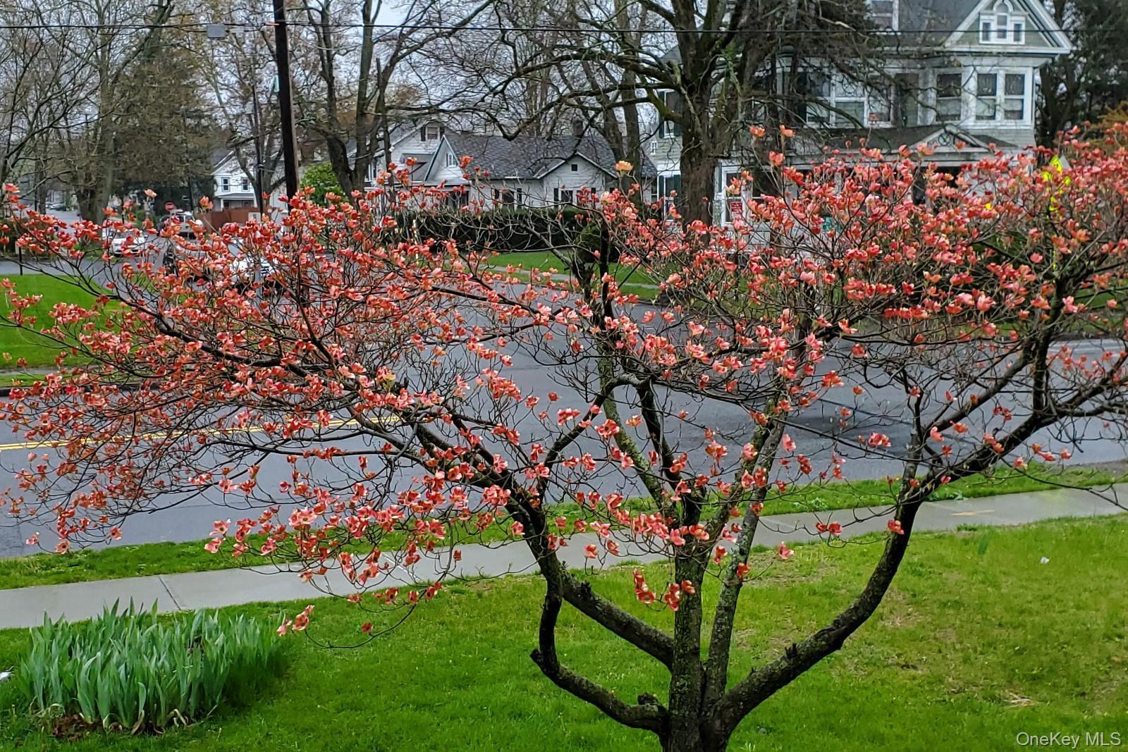 Single Family Albany  Ulster County, NY 12401, MLS-935251-43