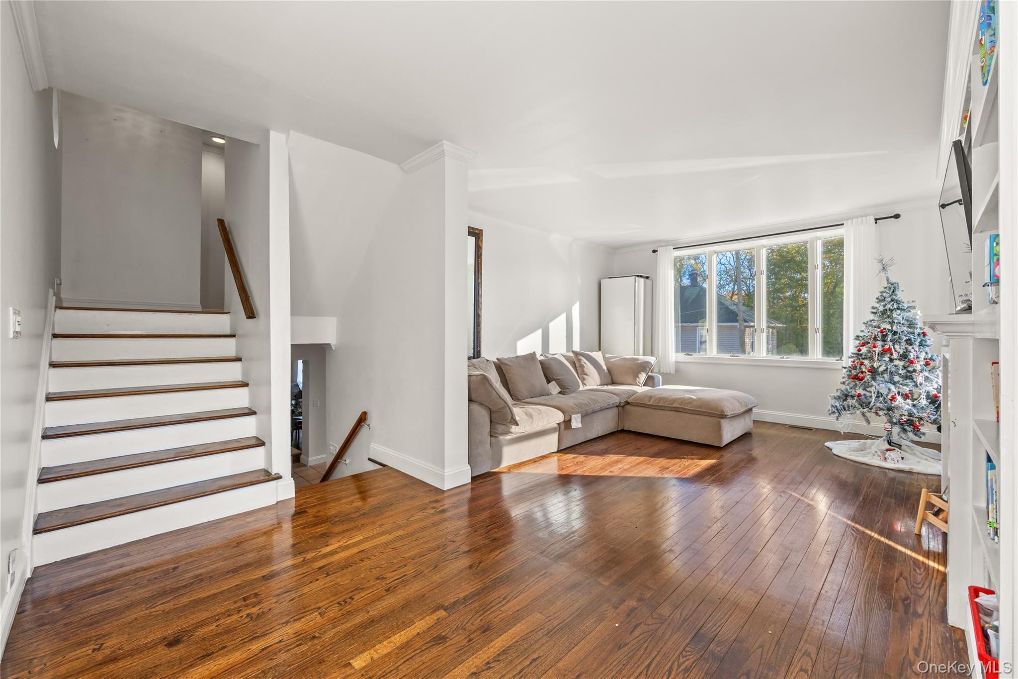 Single Family Hillside Nassau County, NY 11545, MLS-935284-11