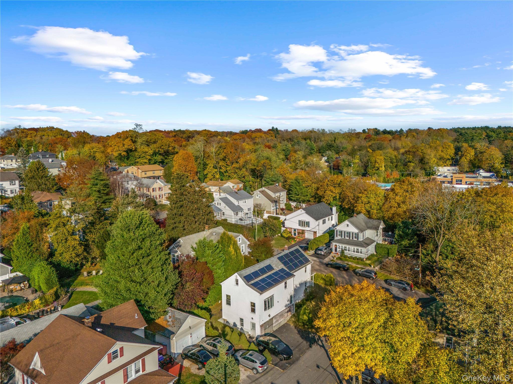 Single Family Hillside Nassau County, NY 11545, MLS-935284-25