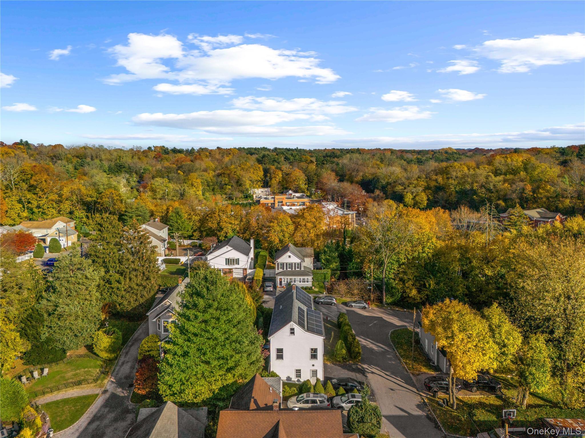 Single Family Hillside Nassau County, NY 11545, MLS-935284-26