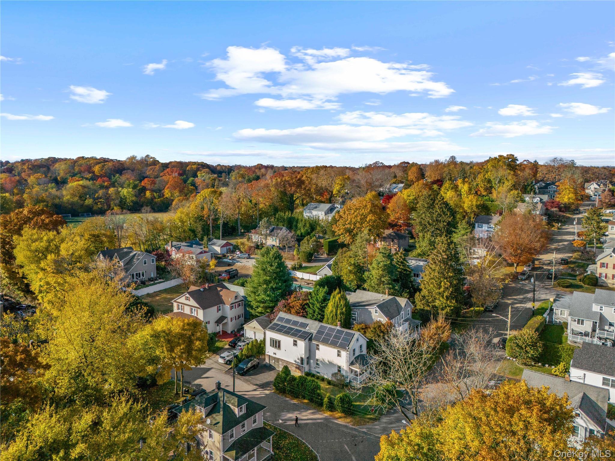 Single Family Hillside  Nassau County, NY 11545, MLS-935284-28