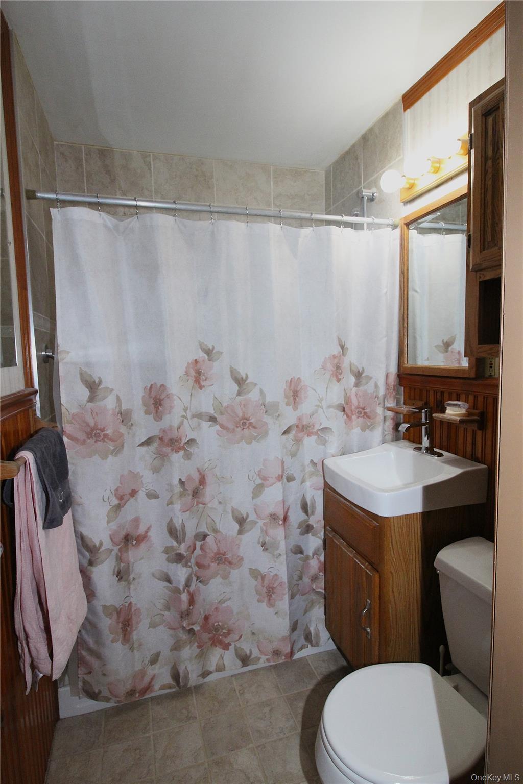 Single Family County Line  Suffolk County, NY 11701, MLS-935308-12