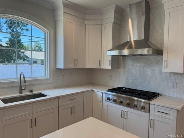 Single Family Patricia Lane  Nassau County, NY 11791, MLS-935388-10
