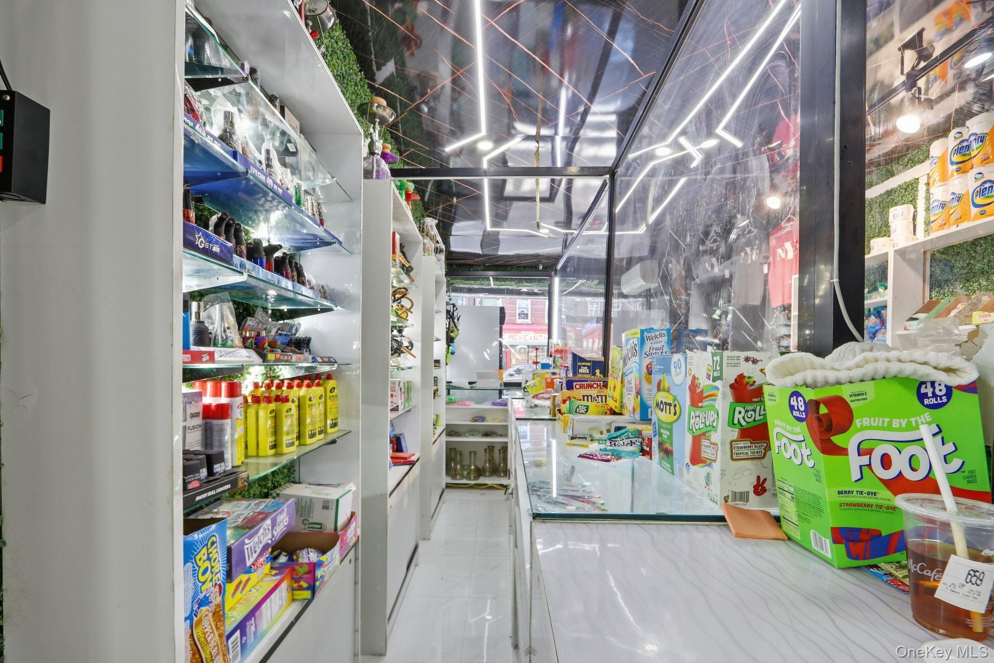 Single Family Fulton Brooklyn, NY 11208, MLS-935394-17