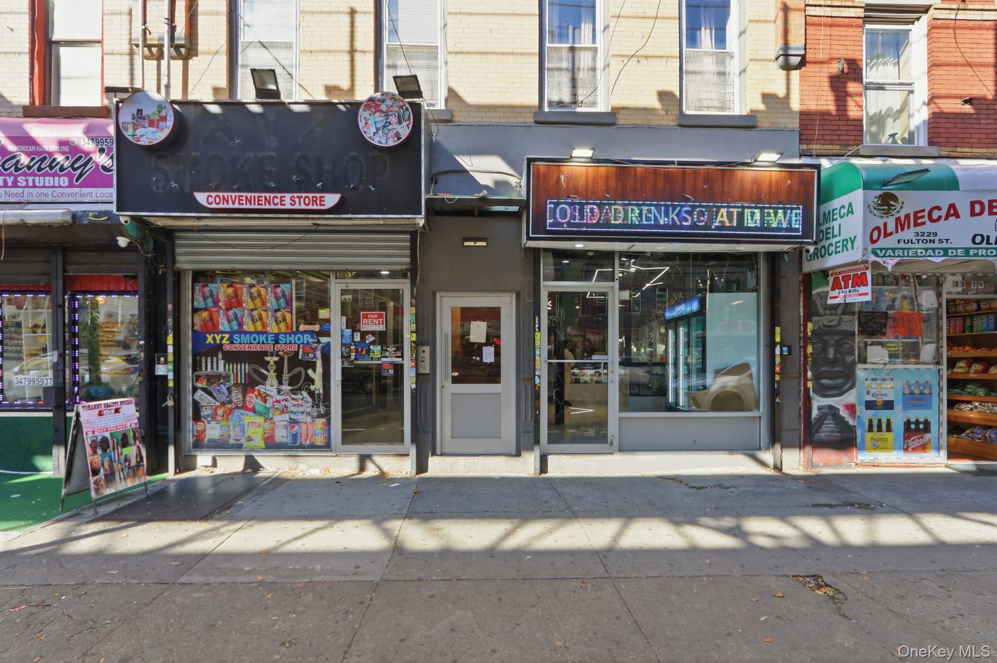 Single Family Fulton Brooklyn, NY 11208, MLS-935394-4