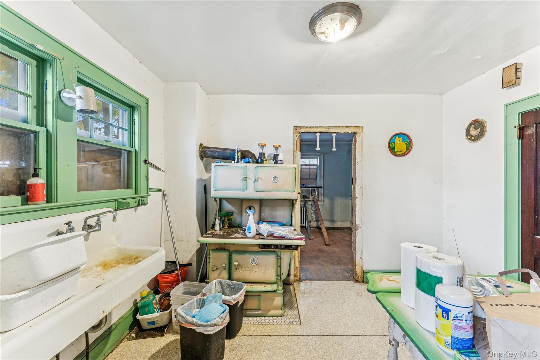 Single Family Lincoln Nassau County, NY 11501, MLS-935570-3