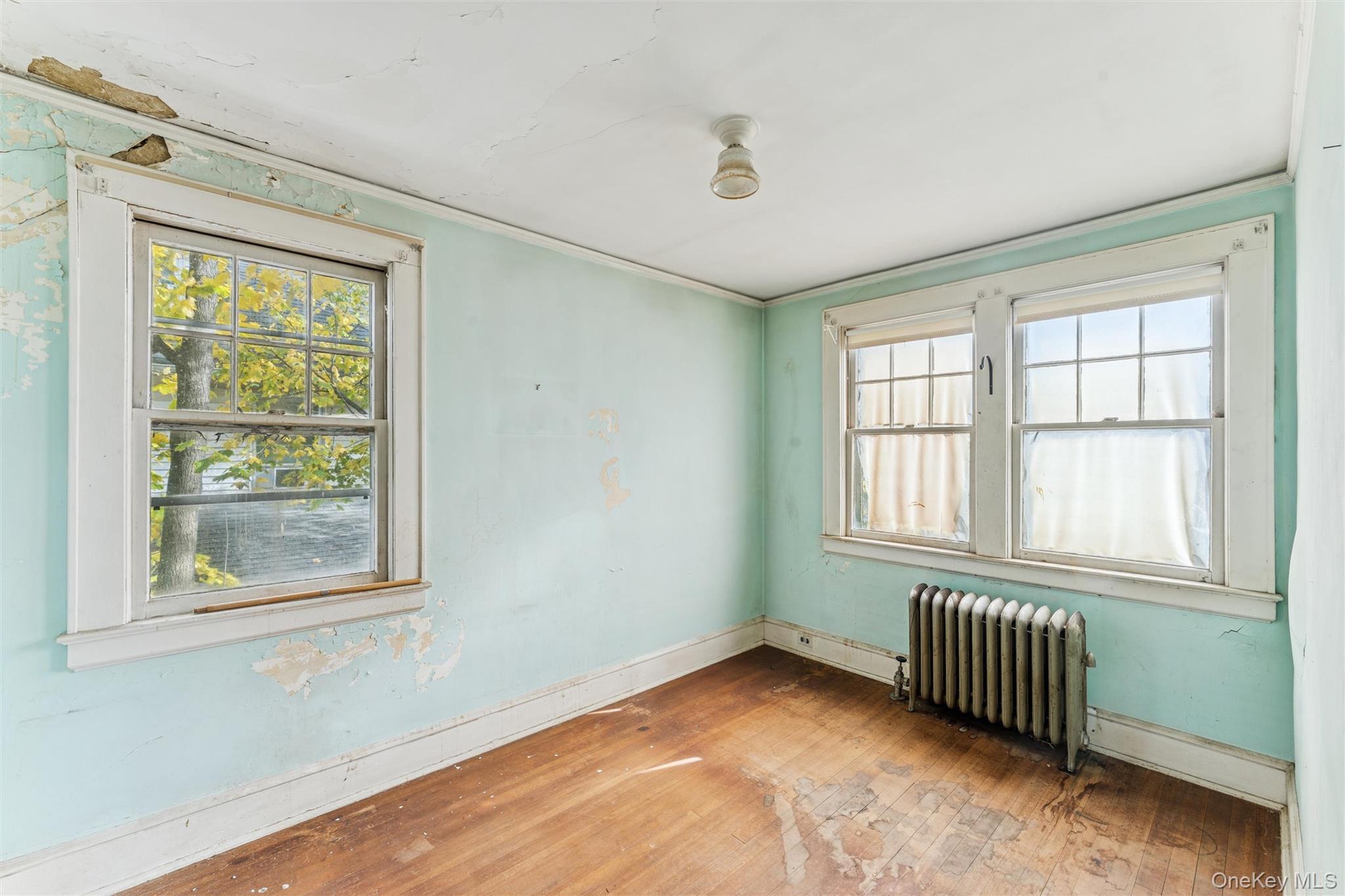 Single Family Lincoln Nassau County, NY 11501, MLS-935570-5