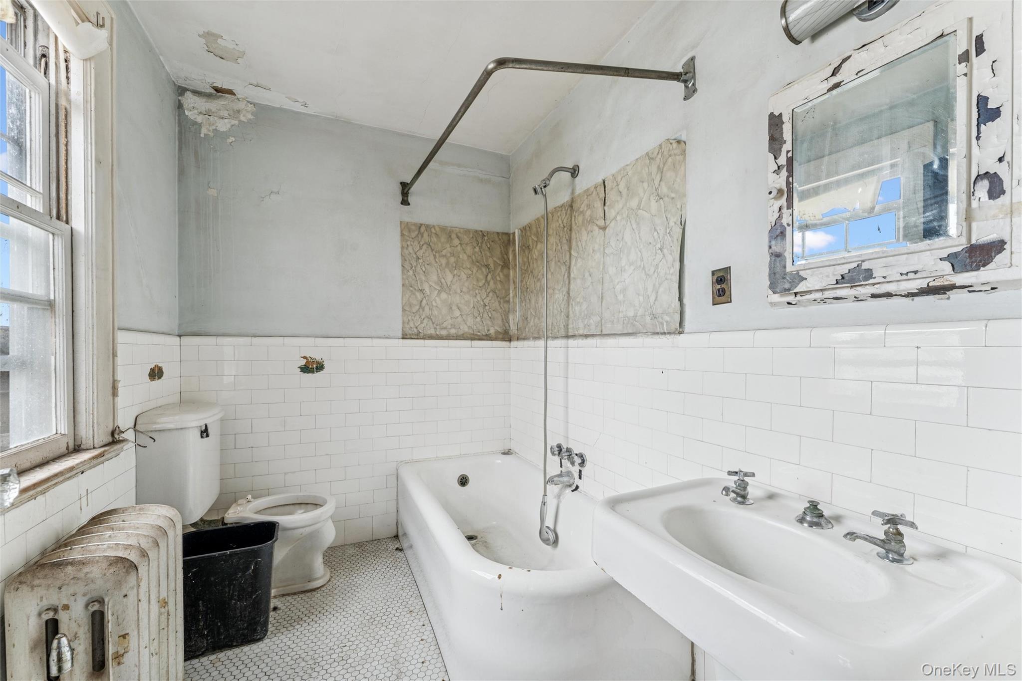 Single Family Lincoln Nassau County, NY 11501, MLS-935570-9