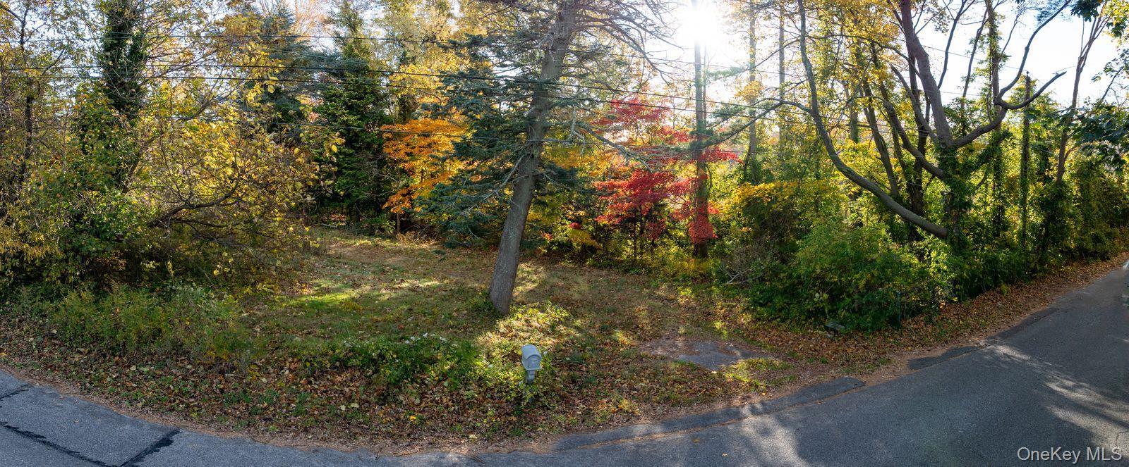 Single Family Old Broadway Avenue  Suffolk County, NY 11782, MLS-935606-16