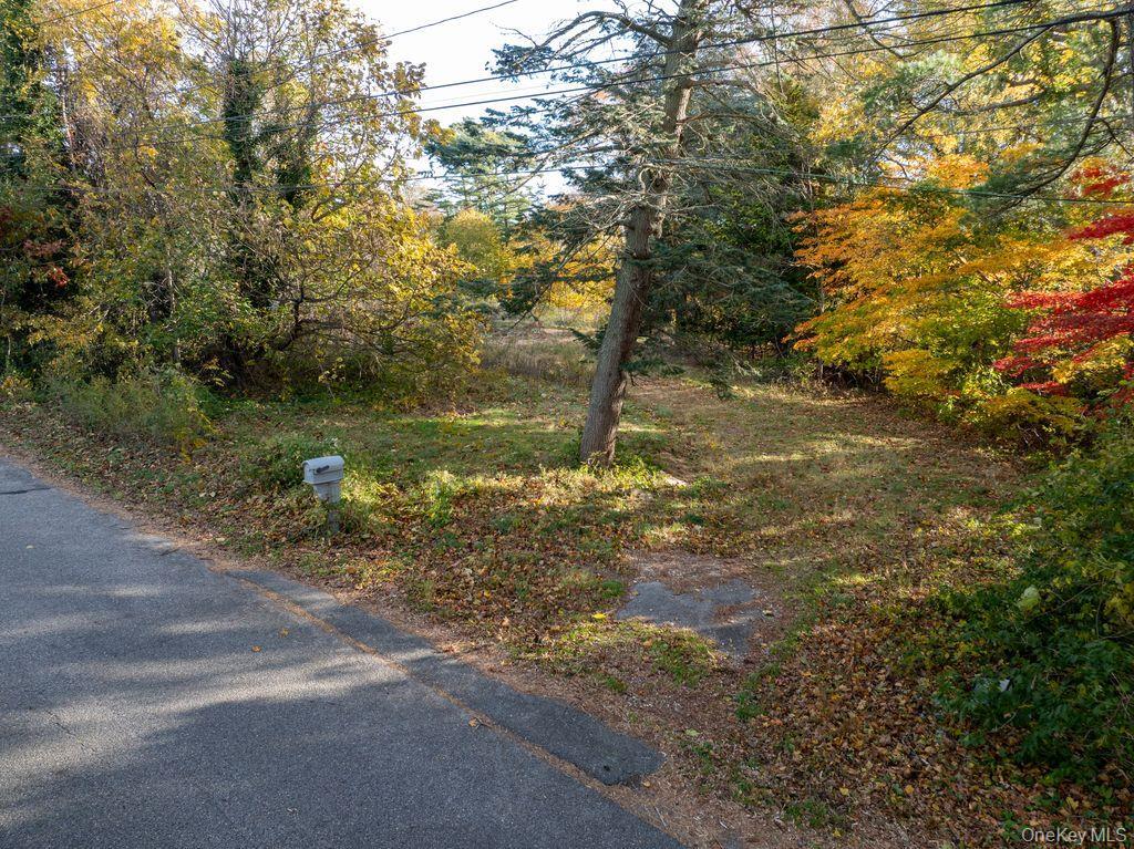 Single Family Old Broadway Avenue  Suffolk County, NY 11782, MLS-935606-17
