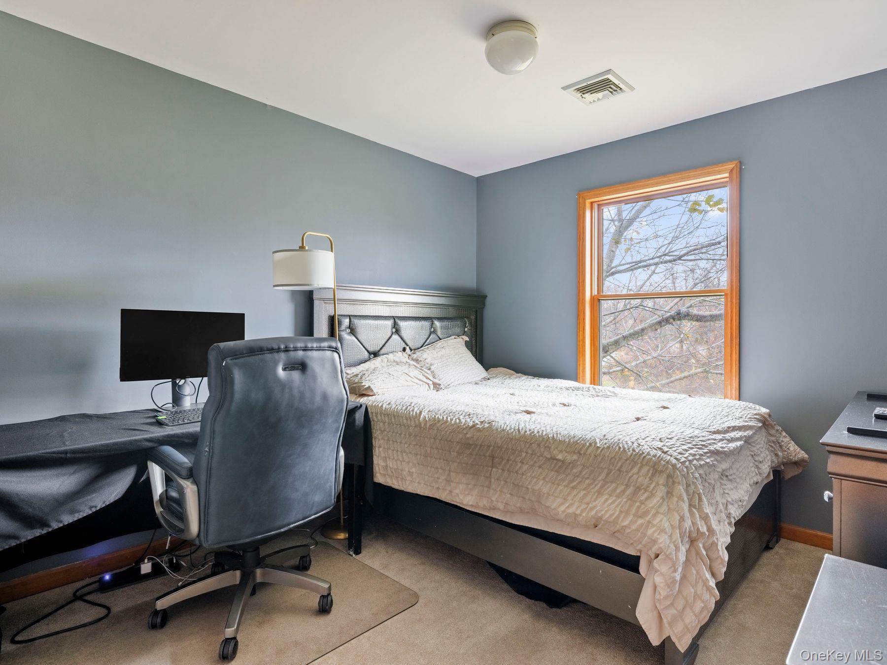 Single Family Canterbury  Ulster County, NY 12477, MLS-935637-27