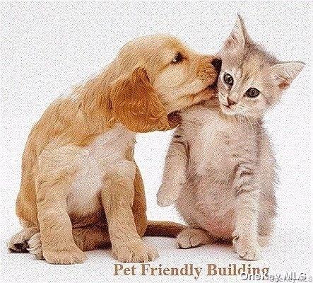 Condo Queens  Queens, NY 11375, MLS-935640-36