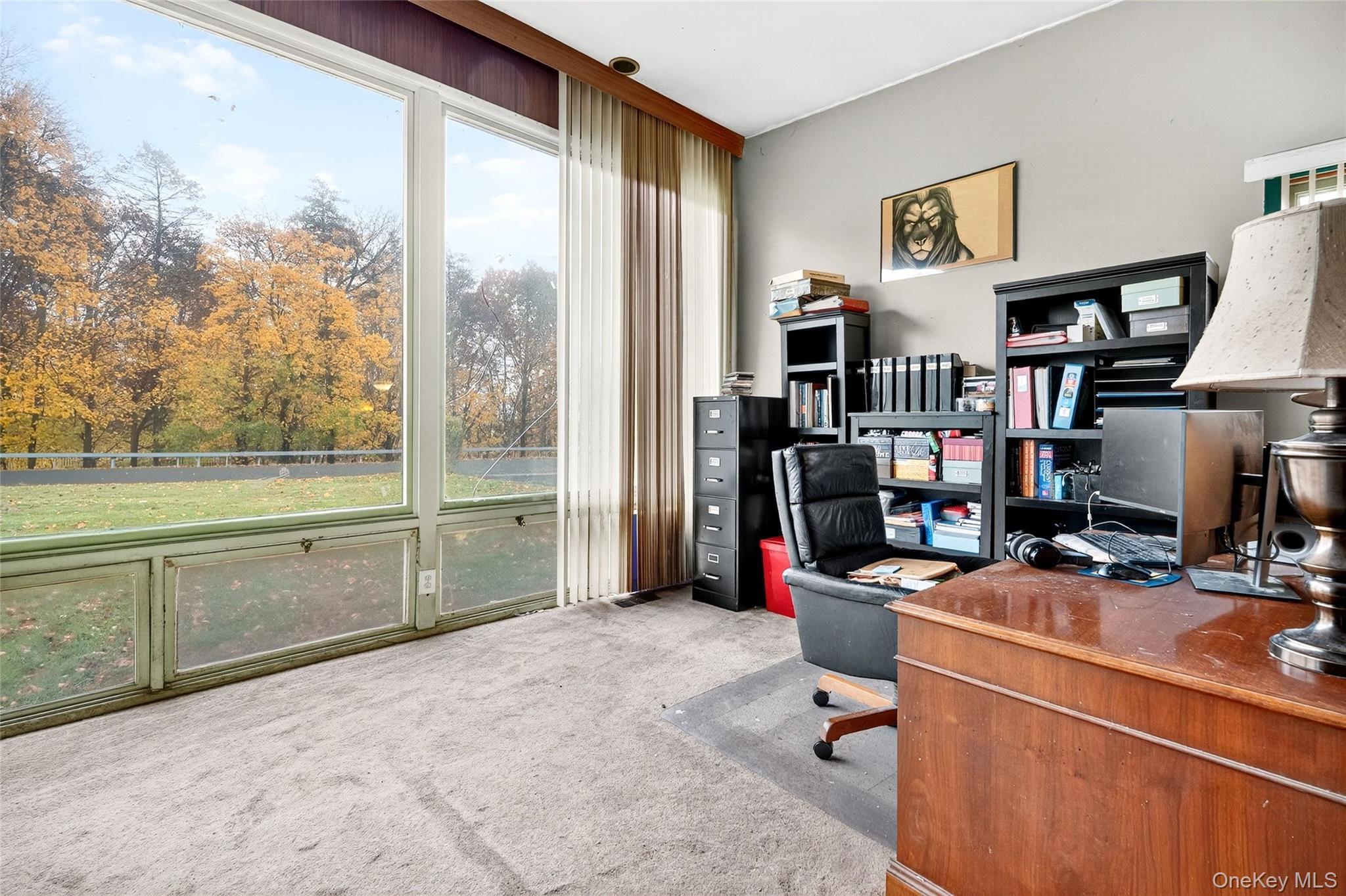 Single Family Overhill Orange County, NY 10940, MLS-935730-12